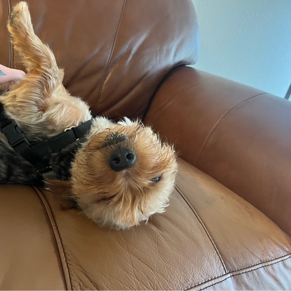 ๐๐ถCLOSET REFRESH!๐ถ๐ - Picture 3 of 3